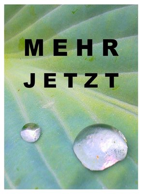 cover image of Mehr jetzt